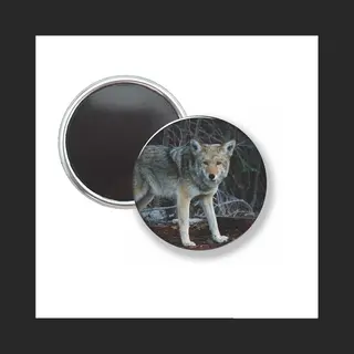 Mc Living Button Met Magneet - Wolf - Niet Voor Kleding