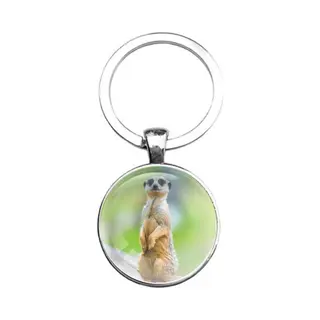 Mc Living Sleutelhanger Glas - Stokstaartje