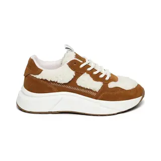 Steve Madden - Schoenen - Bruin - Vrouwen - Maat 37 -