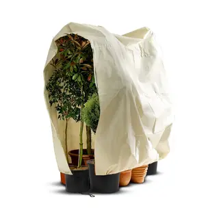 Tropictrees Premium Winterhoes Jumbo - Plantenhoes Tegen Vorst - Vliesdoek - Duurzaam - Ritssluiting - B, 200 X H, 240cm Uv-doorlatend