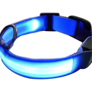 *** 2 Stuks Lichtgevende Blauwe Hondenriem 2 Stuks - L" - Opvallen In Het Donker - Van Heble® ***