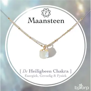 Bixorp Gems Heiligbeen Chakra Ketting Maansteen + 18 Karaat Verguld Goud & Roestvrij Staal - 36cm + 8cm Verstelbaar