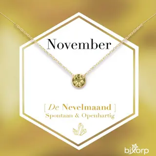 Bixorp Geboortesteen Ketting November - 18k Goud Verguld Roestvrij Staal Met Zirkonia Hanger - Stainless Steel - Citrien