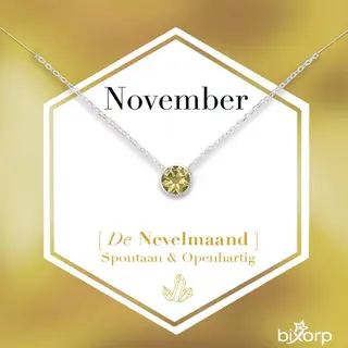 Bixorp Geboortesteen Ketting November - Zilverkleurig Roestvrij Staal Met Zirkonia Hanger - Stainless Steel - Citrien