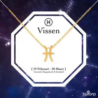 Bixorp Stars Sterrenbeeld Ketting Vissen / Pisces - Stainless Steel Met Goud Verguld - 45cm Ketting Met Zodiac Hanger - Inclusief Cadeau Verpakking