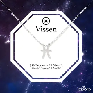 Bixorp Stars Sterrenbeeld Ketting Vissen / Pisces - Stainless Steel - 45cm Ketting Met Zodiac Hanger - Inclusief Cadeau Verpakking