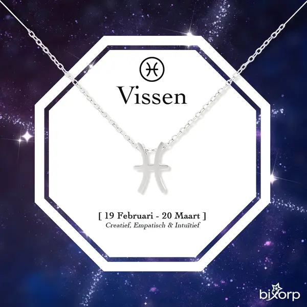 Bixorp Stars Sterrenbeeld Ketting Vissen / Pisces - Stainless Steel - 45cm Ketting Met Zodiac Hanger - Inclusief Cadeau Verpakking thumbnail