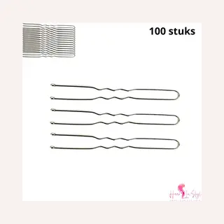 Haar In Stijl® U Pins Zilver - 100 Zilveren Haarpinnen - Haardotspelden Insteekspelden Haarspelden - Kapper Haartools - Haaraccessoires Voor Dames