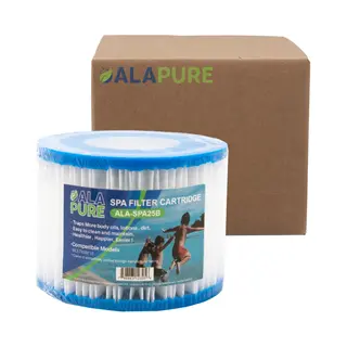 Alapure Spa Filter Voor Bestway Lay Z Type Vi