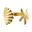 Goud Schelp/Zeester
