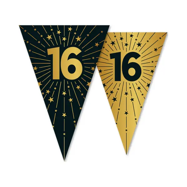 We Fiesta Vlaggenlijn 16 Jaar Zwart / Goud 10 Meter 2 Zijdig Bedrukt - Verjaardag Feestje Vlag Vlaggen Versiering Slinger Feestdecoratie Decoratie thumbnail
