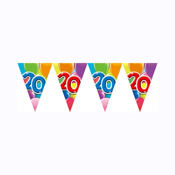 We Fiesta 2x Vlaggenlijn 20 Jaar 10 Meter Dubbelzijdig Bedrukt - Verjaardag Feestje Vlag Vlaggen Versiering Slinger Feestdecoratie Decoratie thumbnail