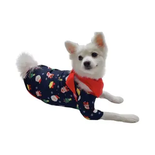 EazyPeezy Pyjama In Kerstthema Voor Het Hele Gezin - Kerstpyjama Voor Volwassenen, Kinderen En Honden - S