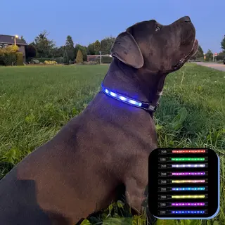K&G Goods K&G Lichtgevende Halsband Hond - 9 Kleuropties - IPX7 Waterproof - Led - Inclusief Oplaadkabel En Apple AirTag Houder - Maat S - Zwart
