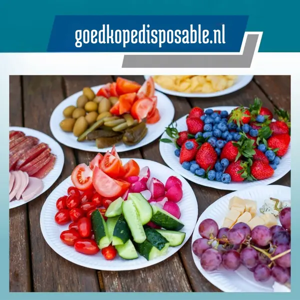 Kurtt 500 Stück Pappteller, Einweggeschirr, Kuchenteller, Partyteller, Kuchenteller (500, Ø23cm) thumbnail