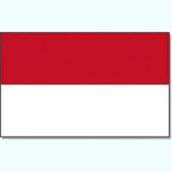 Chpn - Vlag - Vlag Van Indonesië - Indische Vlag - Indonesische Gemeenschap Vlag - 90/150CM - Indo Vlag - Vlag Van Azië - Indonesië - Republiek thumbnail