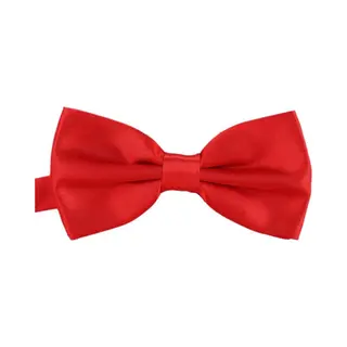 Sorprese Strik - Rood - Vlinderdas - Vlinderstrik - Vlinderdassen - Satijn - Voorgestrikt - Cadeau