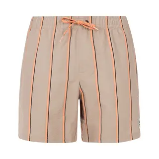Protest Badeshorts PRTGonz