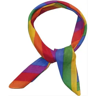 Chpn - Shawltje - Bandana - Regenboog Bandana - Kleine-Sjaal - Rainbow Bandana - Regenboog - Verkleden - Accessoire - 55/55CM