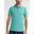 Aqua Green