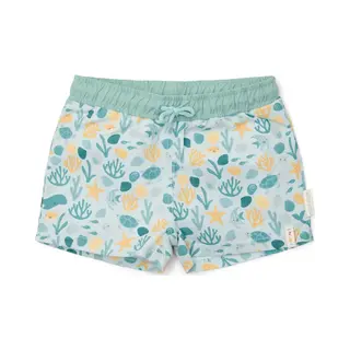 Little Dutch Zwemshort - Meerkleurig - Seashells And Stripes-62/68