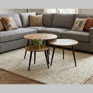 Meubelplaats.nl Salontafel Milo Set Van 3 Rond Mangohout - Naturel