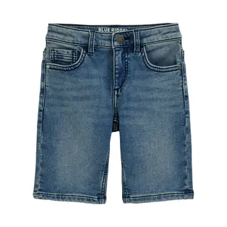 We Fashion Shorts