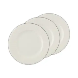 Givi Italia Feestbordjes/gebaksbordjes - 24x - Zilver Grijs - Rond - Papier/karton - 21cm - Biologisch Afbreekbaar - Groot