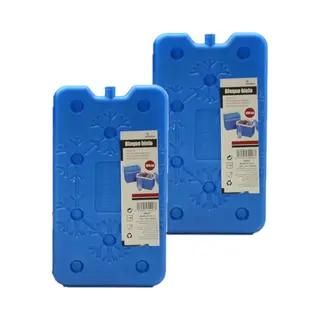 Arte r Koelelementen Plat - 2x - 14 X 2 X 25 Cm - Blauw - 400 Gram - Koelblokken/koelelementen Voor Koeltas/koelbox