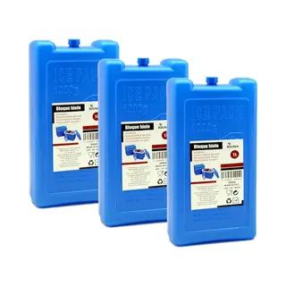 Arte R Koelelementen Groot Blok - 3x - 1000 Ml - 11 X 5 X 22 Cm - Blauw - Koelblokken/koelelementen Voor Koeltas/koelbox
