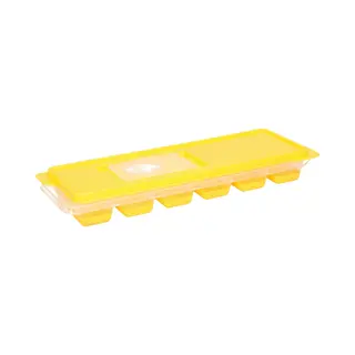 Excellent Houseware IJsklontjes - Ijsblokjes Vormpjes - 12 Vaks - Plastic - Met Afsluitdeksel