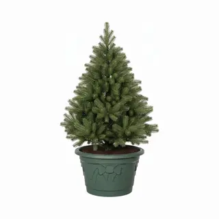 Decoris Kerstboom Voet Standaard - Groen - Kunststof - 42 X 25 Cm - Rond - Voor Echte Bomen