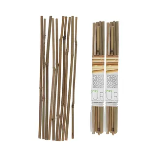 Gerimport Plantenstokken - 20x Stuks - Bamboe - 30 Cm - Plantensteun / Tonkinstokken