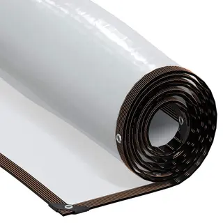 VidaXL Doorzichtig Zeildoek Met Zeilringen 2x4 M Polyethyleen