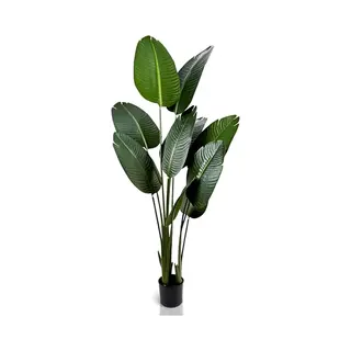 IvoQ Strelitzia Kunstplant 160 Cm - Grote Paradijsvogelplant In Pot - Levensecht & Onderhoudsvrij - Voor Binnen