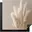 Beige, Pampas