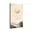 Beige, Japandi, Landschap