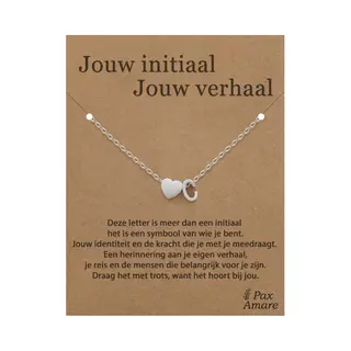 Letter C Ketting Op Cadeau Kaartje - Jouw Initiaal, Jouw Verhaal - 45cm Zilverkleurig Stainless Steel - Initiaal & Hartje Hanger - Pax Amare
