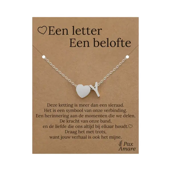 Letter Y Ketting Op Cadeau Kaartje - Een Letter, Een Belofte - 45cm Zilverkleurig Stainless Steel - Initiaal & Hartje Hanger - Pax Amare thumbnail