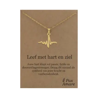 Stainless Steel Levenslijn Ketting Op Cadeau Kaartje - Leef Met Hart En Ziel - 45cm Goudkleurig Roestvrij Staal - Pax Amare