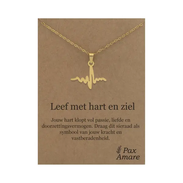 Stainless Steel Levenslijn Ketting Op Cadeau Kaartje - Leef Met Hart En Ziel - 45cm Goudkleurig Roestvrij Staal - Pax Amare thumbnail