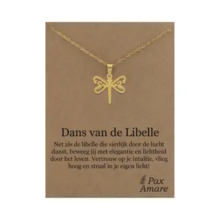 Stainless Steel Libelle Ketting Op Cadeau Kaartje - Dans Van De Libelle! - 45cm Zilverkleurig Roestvrij Staal - Pax Amare