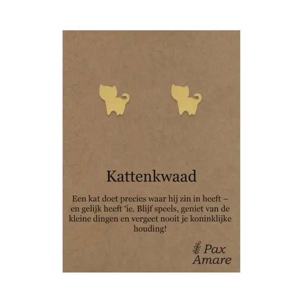 Stainless Steel Katje Oorbellen Op Cadeau Kaartje - Kattenkwaad - ± 10x10mm Oorknopjes Zilverkleurig Roestvrij Staal - Pax Amare thumbnail