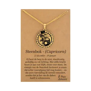 Sterrenbeeld Steenbok (Capricorn) Ketting Op Cadeau Kaartje - Goudkleurig - Roestvrij Staal Zodiac Talisman - Stainless Steel - 60cm - Pax Amare
