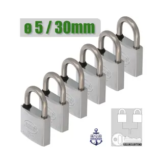 Amig Klein Gelijksluitend Hangslot 6 Stuks - Ø5mm / 30x52mm Sloten Set - Marine Grade Materiaal - Compact En Lichtgewicht - Master Key Systeem