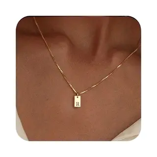 The Jewellery Salon Ketting Met Initiaal - Stainless Steel - Letter R - Minimalistisch Sieraad - Waterproof - Fijne Damesketting -