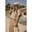 Zand