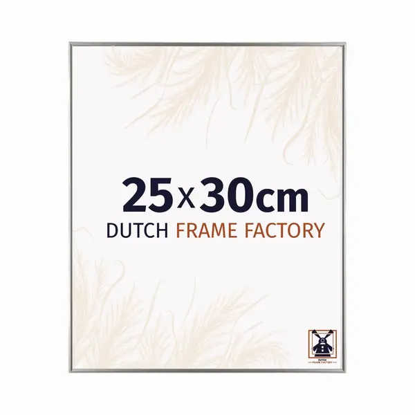 Dutch Frame Factory Fotolijst 25x30 Cm - Kunststof - Champagne - Easy thumbnail