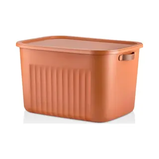 Luxury Bites Aufbewahrungsbox Mit Deckel, 20L-15L -10L Bpa-freie Kunststoff, Nestbar Und Stapelbar (6 Farben, 9 Farbkombiationen, 3er Set)
