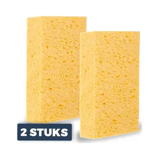 Pasper Spons 2 Stuks - 16 X 9 X 3, 5 Cm - Schoonmaaksponzen